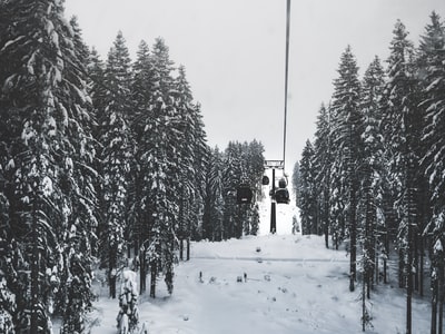 缆车在冰雪覆盖渣经过树下白色的天空
